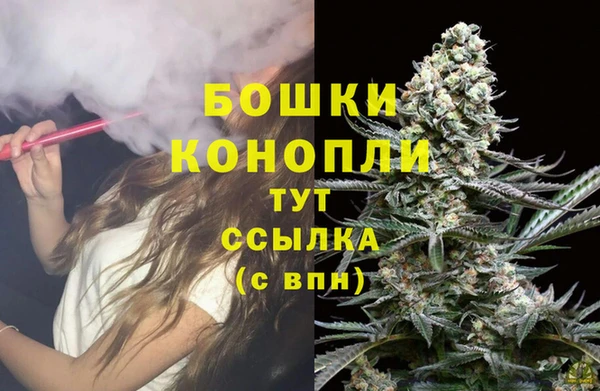 гидра Арсеньев