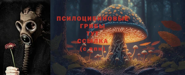 прущие крисы Аркадак