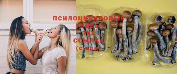 прущие крисы Аркадак