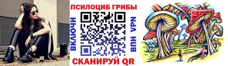 Псилоцибиновые грибы Magic Shrooms  Купить закладки  Углич 